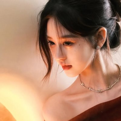 向政府说不