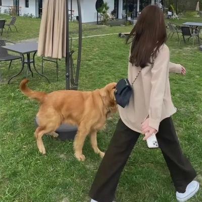 盛宠娇妻